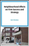 Neighbourhood effects on firm success and strategy
